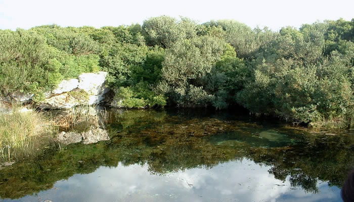 Ambiente Naturale del Salento - Puglia